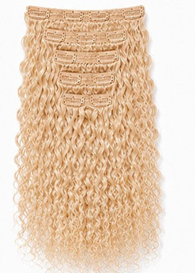 Clip-Ins